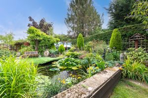 Ornamental pond- click for photo gallery